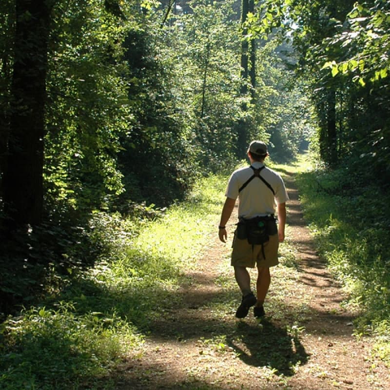 Lowden-Miller State Forest