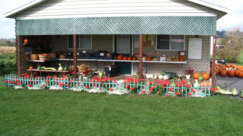 Argo Acres Farm Stand & Orchard