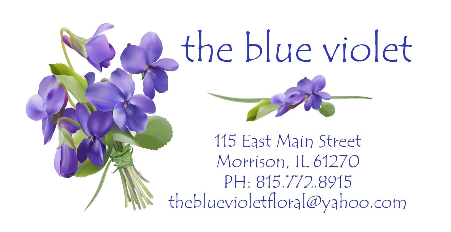 The Blue Violet