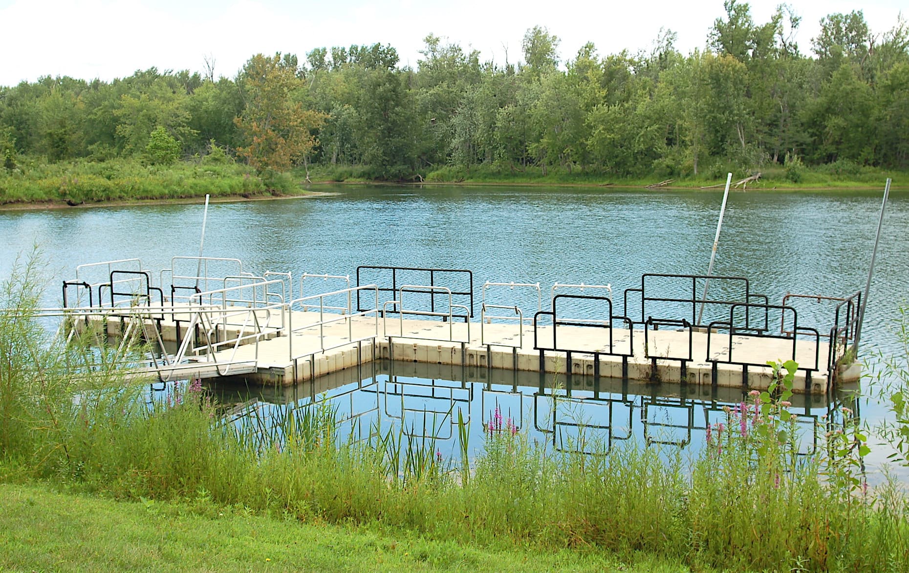 Frog Pond, Upper Mississippi River National Wildlife & Fish Refuge