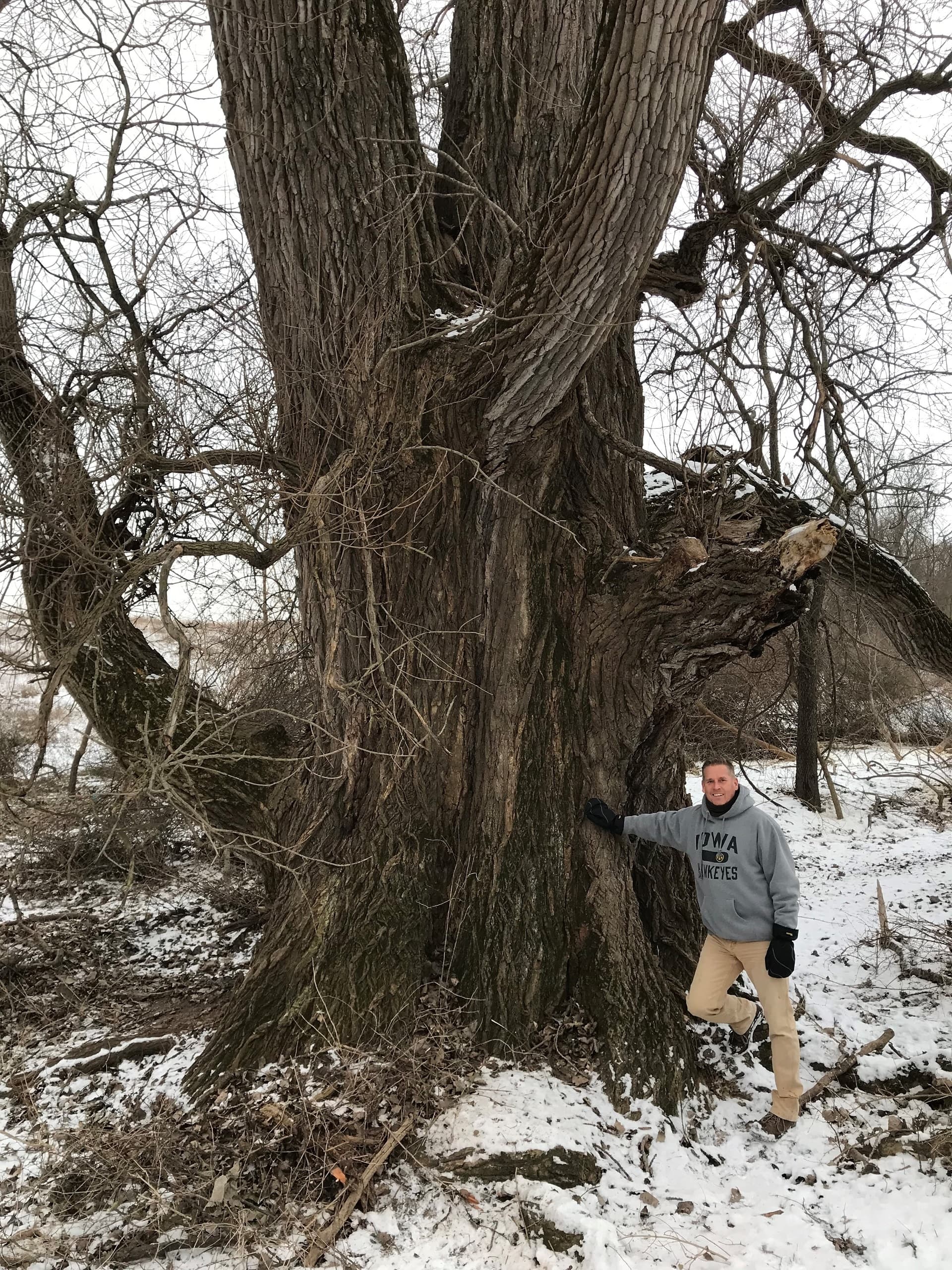 Bald Hill Preserve