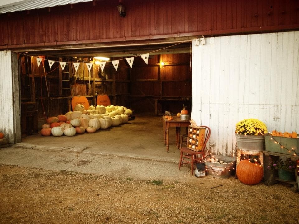 Livengood’s Pumpkin Patch