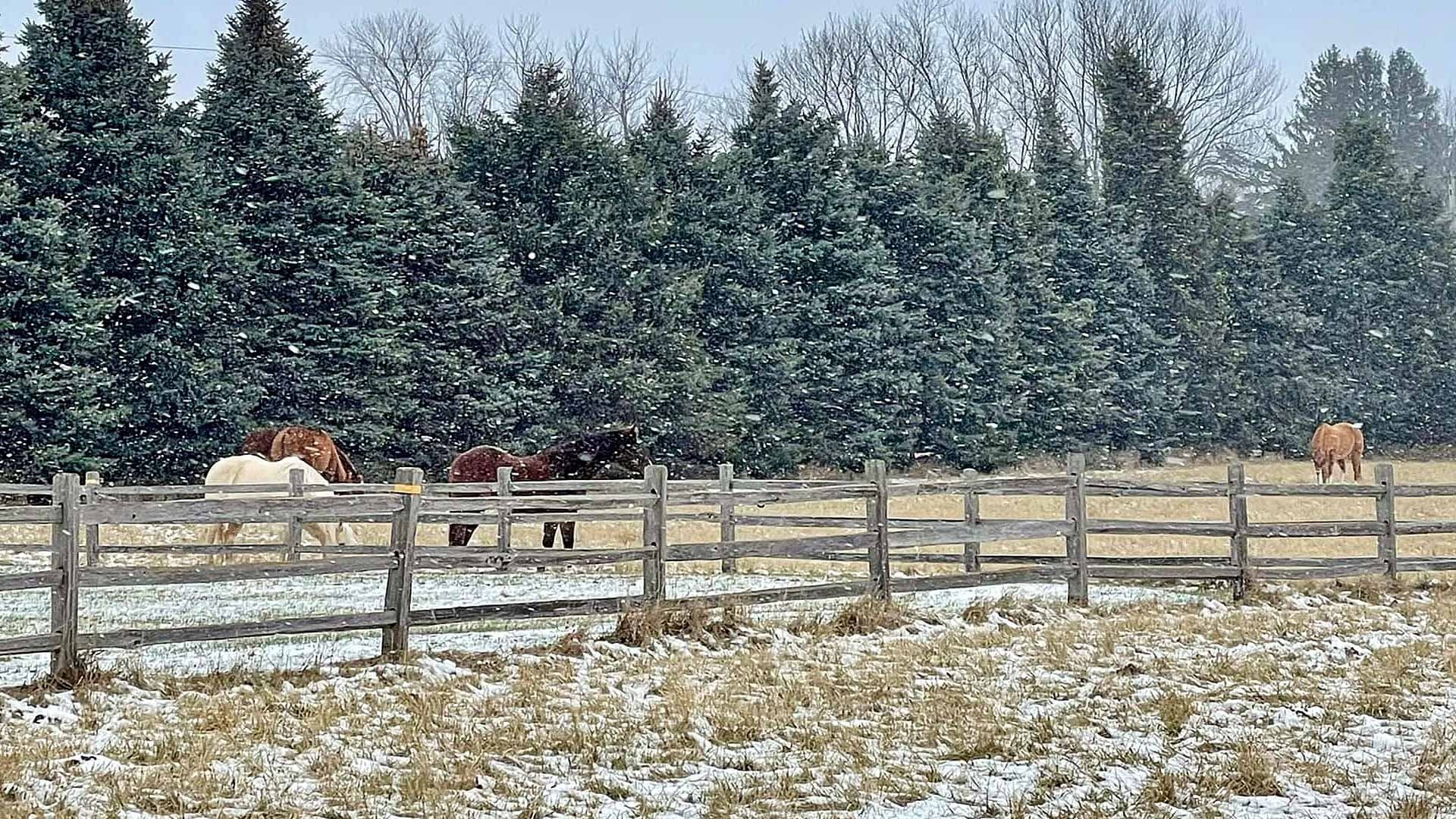 Copper Bit Ranch